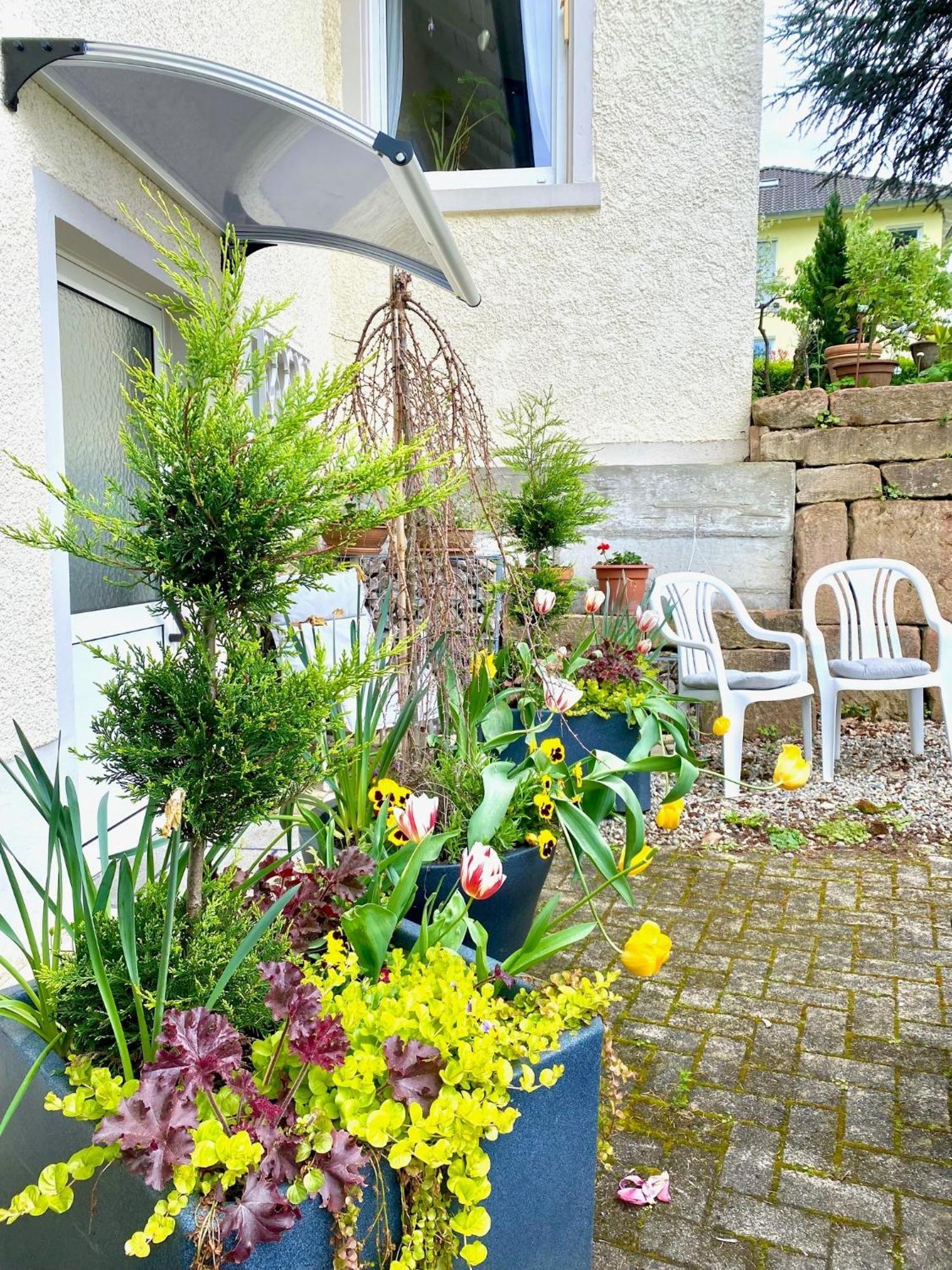 Haus Marija M Hotel Badenweiler Quarto foto